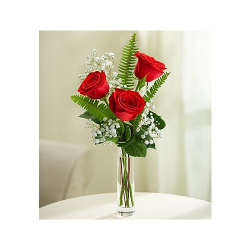 The Best Places To Buy Flowers