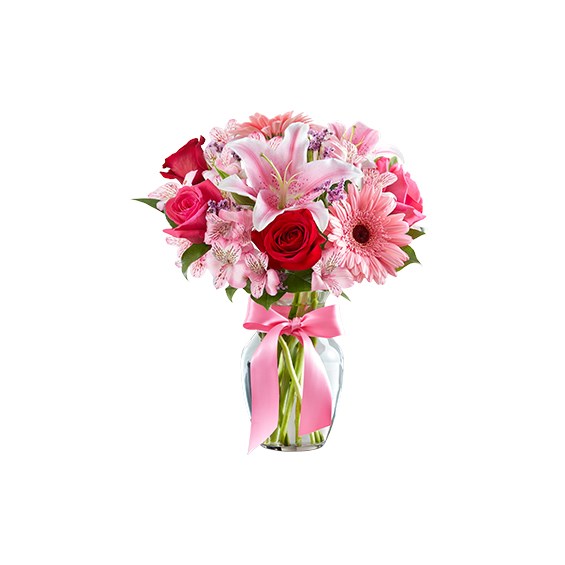 TEST ALT TAG
