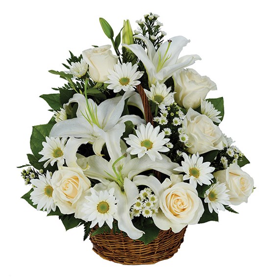 &quot;Thinking of You&quot; basket of flowers (BF212-11KM)
