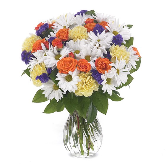 Daisy Delight flower bouquet (BF30-11K)