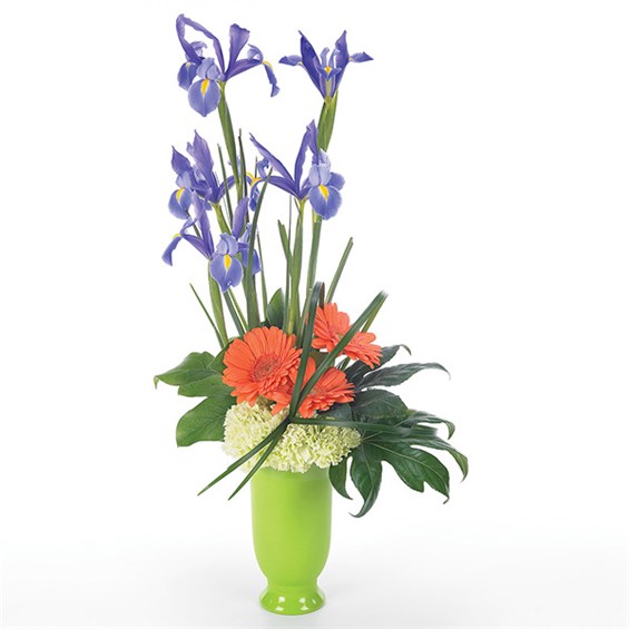 Iris medley flower bouquet (BF5-11K)