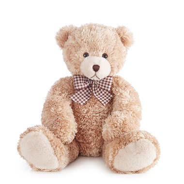 18" Lotsa Love® Bear