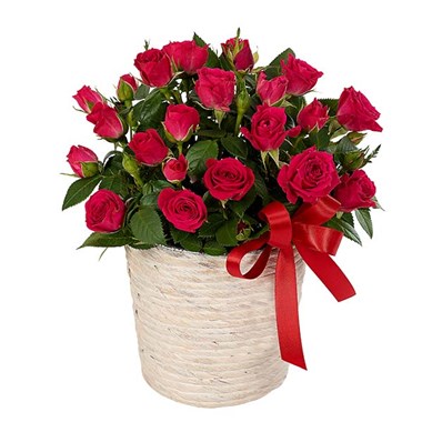 My Valentine Rose Planter (BF400-11KM)