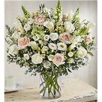 174148dxx_(1)