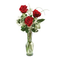 Classic Bud Vase Roses (BF112-11BV)