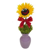 "Sunny and Bright Wishes" flower bouquet (BF147-11)