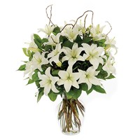 Loving Lilies - White (BF189-11KM)