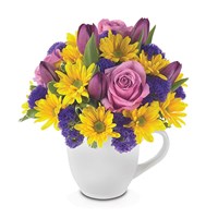 "Upsy-daisy!" flowers in a mug (BF36-11K)
