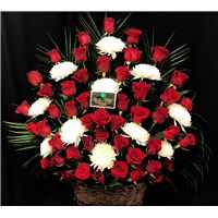 Roses___Spiders